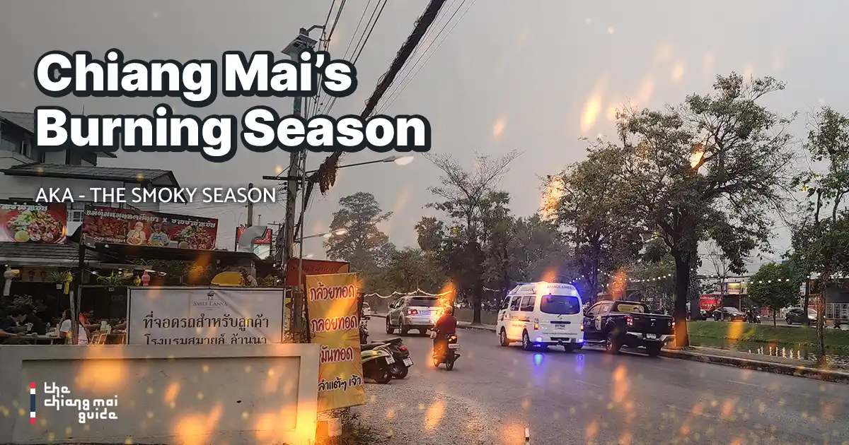 Chiang Mai Burning Season: Stay or Leave?