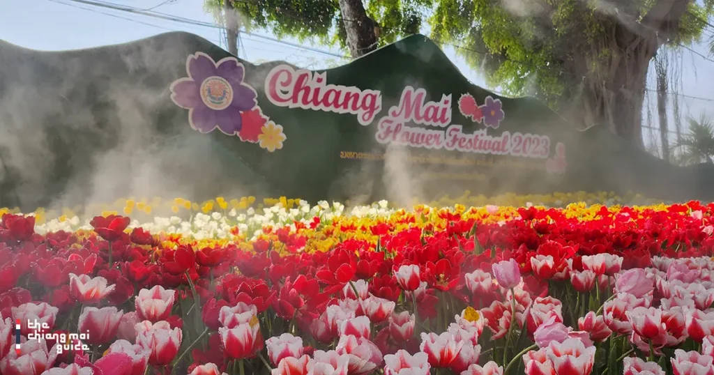 Chiang Mai Flower Festival 2023